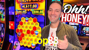 Premium Interface Top88