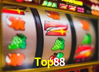 Ofertas Exclusivas Top88